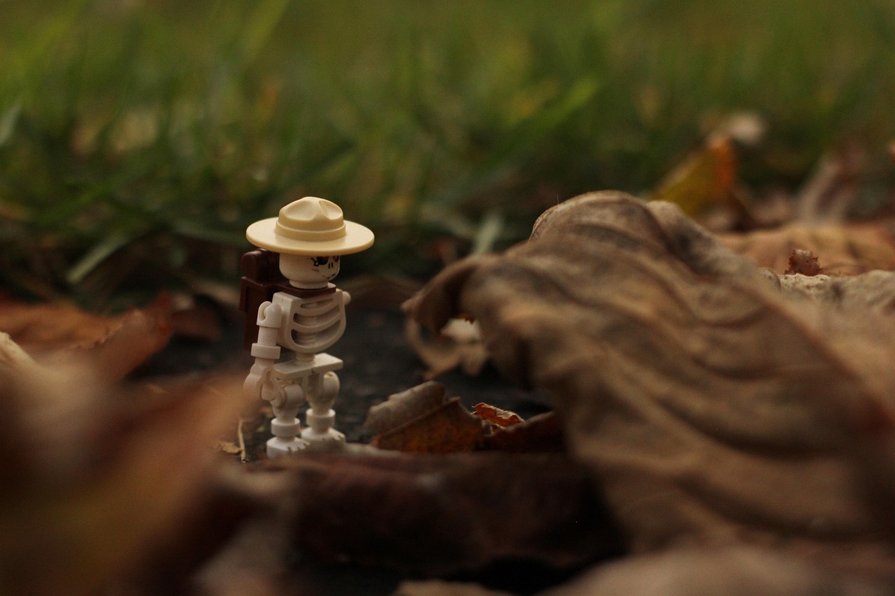 Test: quanto conosci il tuo SurvivalX? Metti alla prova la tua preparazione